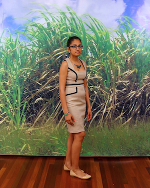 Photograph of a figure in a dress against a photo-realistic backdrop of tall grass.
