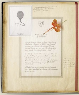 Page of a book with text and a flower.