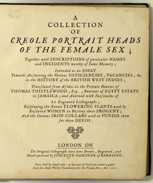 A cover page of a book.